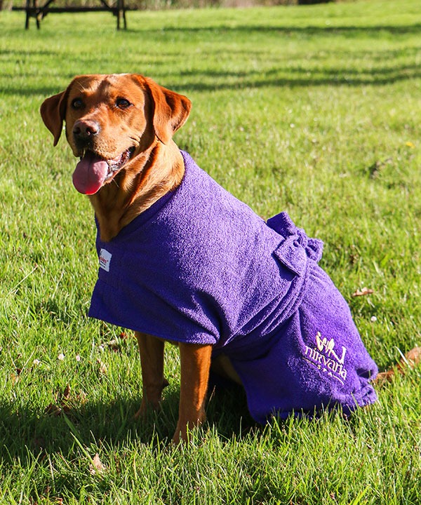 dog-robes-purple