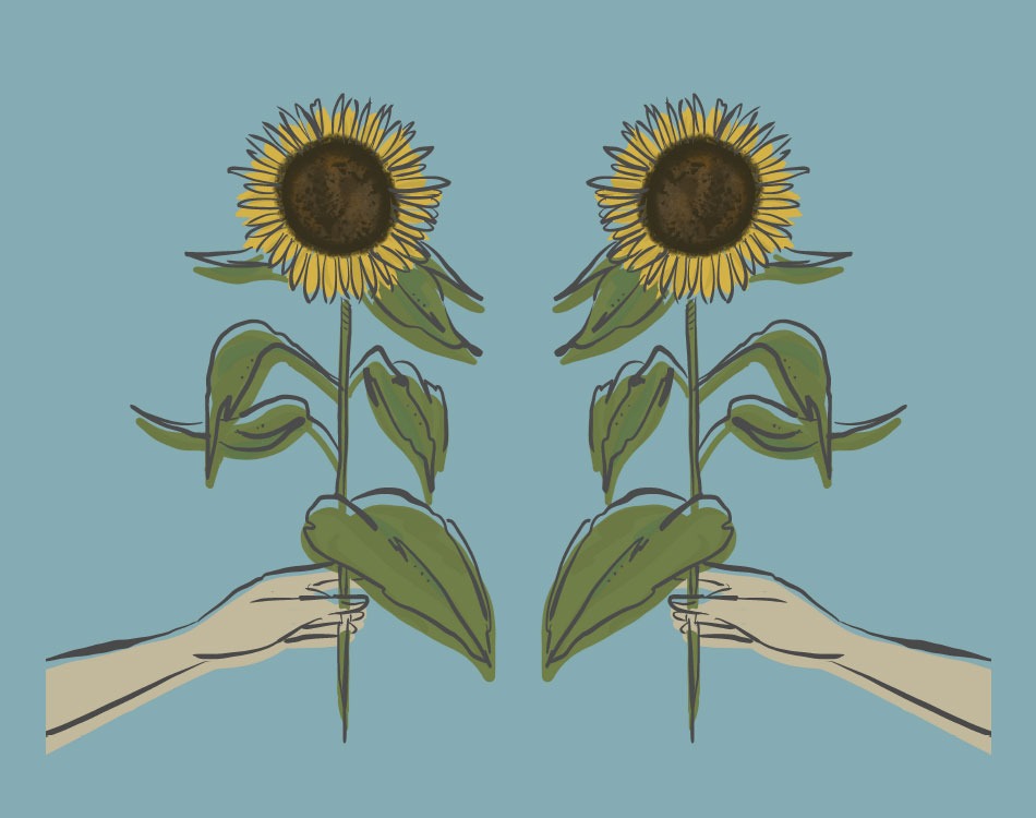 sunflower-blog-1